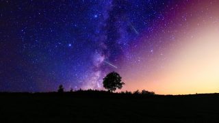 9098f1637eda833fd7a0915cfeaeb5