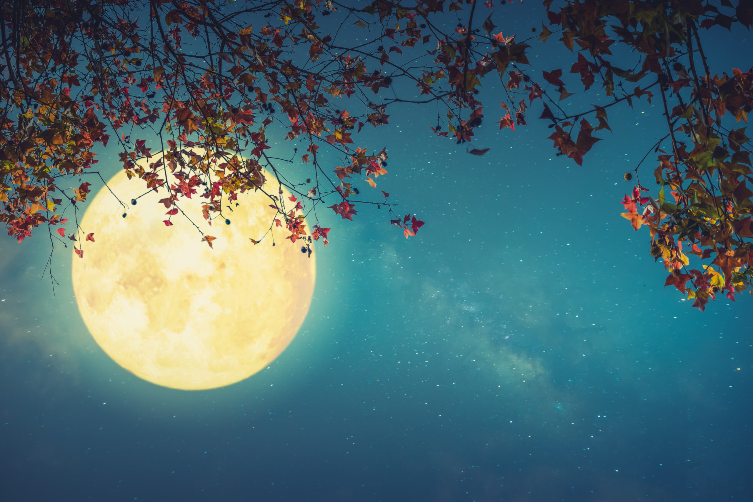 中秋の名月とおひつじ座満月の過ごし方